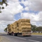 Choosing the Right Hay Transport Company